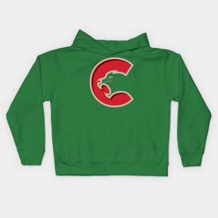 Prince George Cougars Kids Hoodie